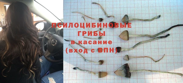 MESCALINE Беломорск